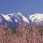 Восточные Пиренеи (Pyrénées Orientales)